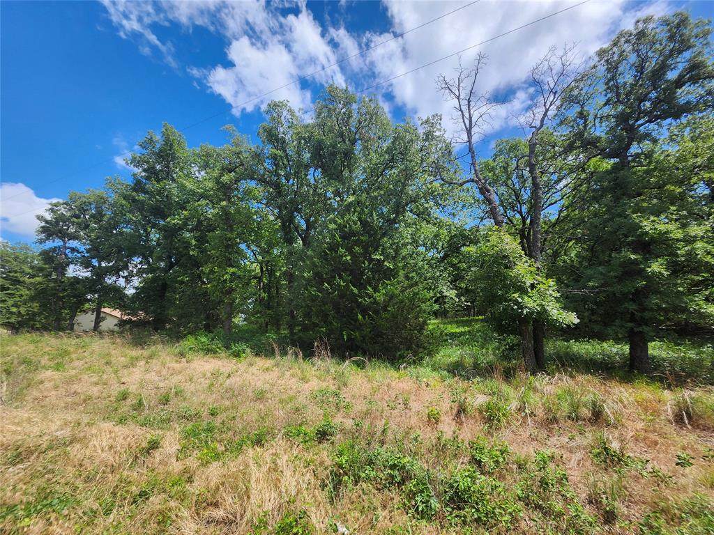 167 Chisholm Trail - Photo 1