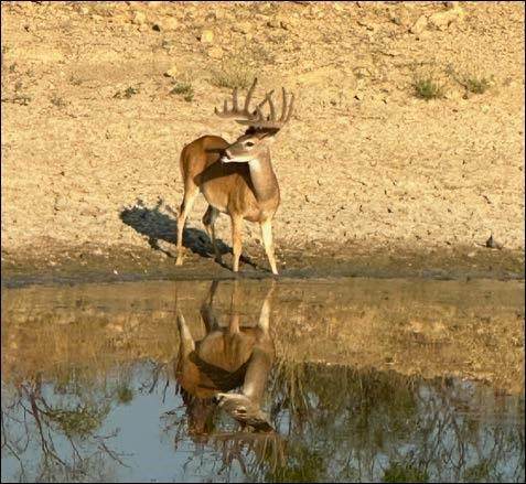 2367 County Road 311 - Photo 1