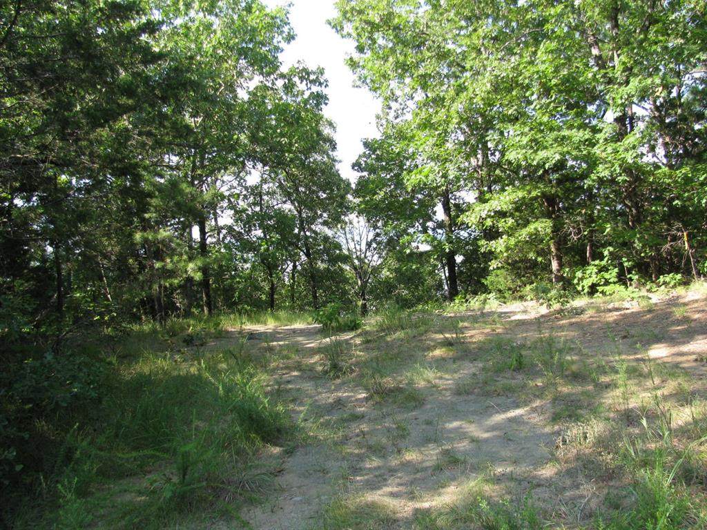 TBD 4309 Lane - Photo 1
