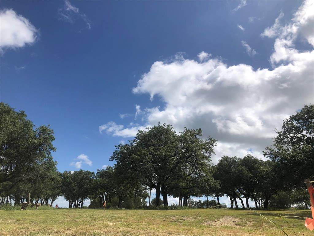 1924 Coleman Ranch Road - Photo 1