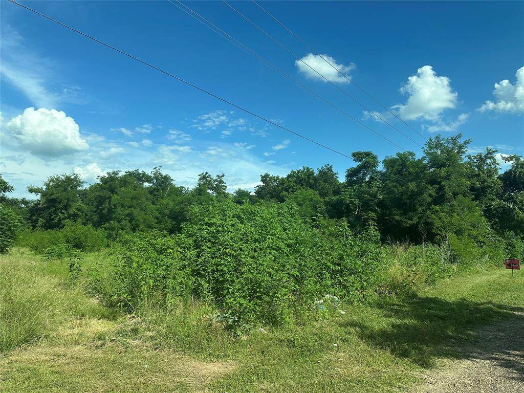 TBD County Road 287 - Photo 1