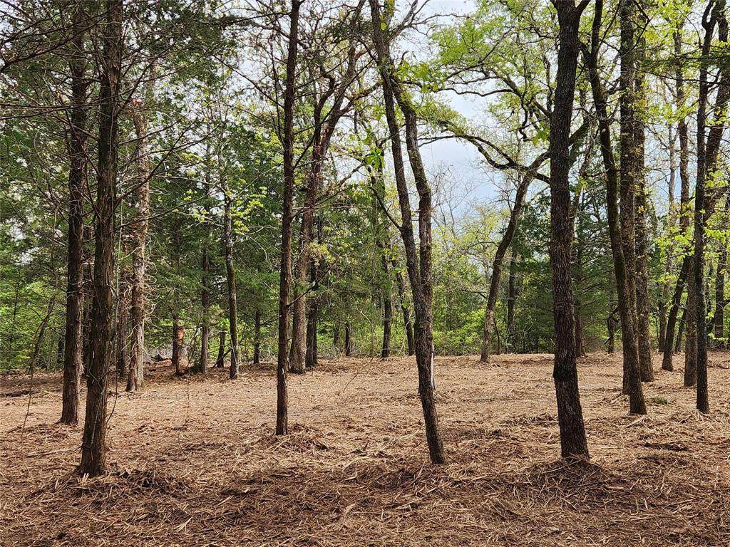 Lot 465 Cr-4710 - Photo 1