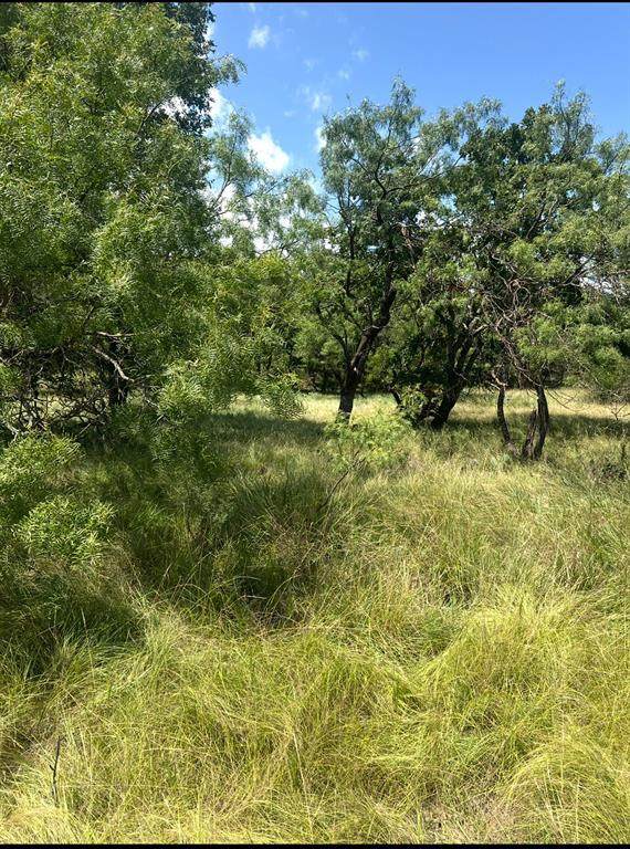 Lot 591 Lakeside Drive - Photo 1