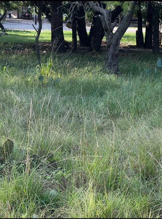 Lot 653 Lakeside Drive - Photo 1
