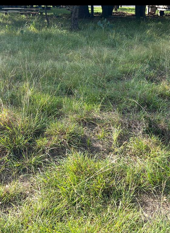 Lot 654 Lakeside Drive - Photo 1