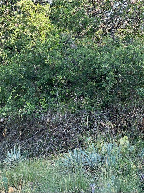 Lot 669 Lakeside Drive - Photo 1
