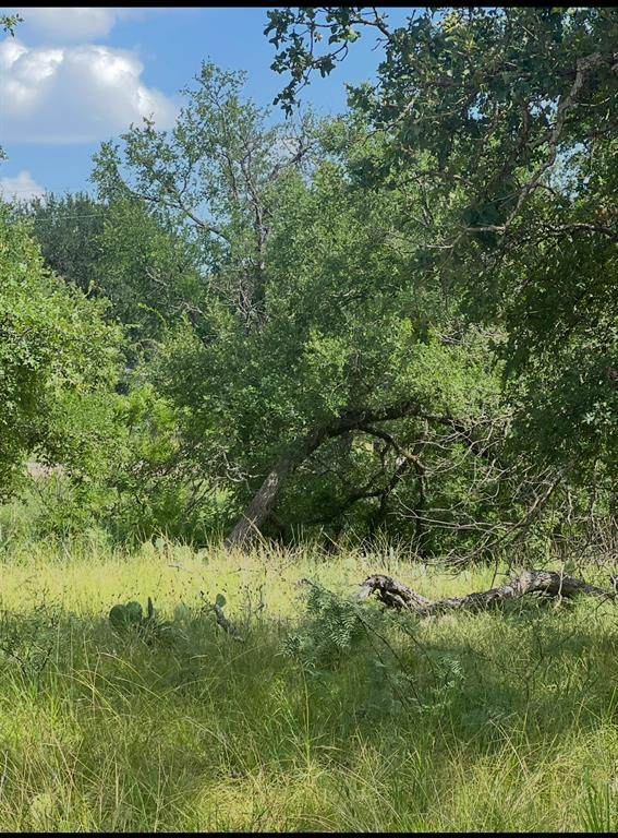 Lot 697 Lakes Drive - Photo 1