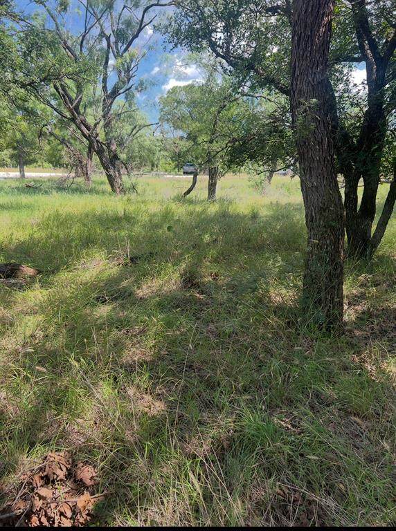 Lot 933 Oak Point Drive - Photo 1