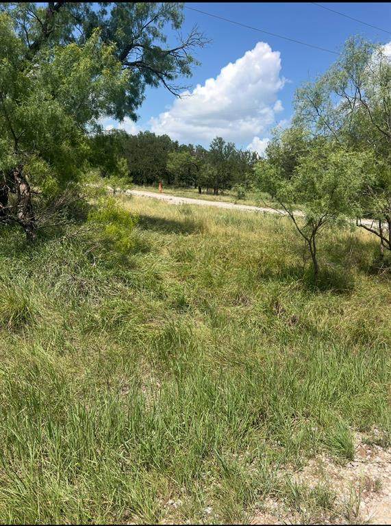 Lot 917 Oak Point Drive - Photo 1