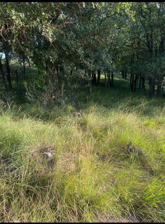Lot 914 Oak Point Drive - Photo 1