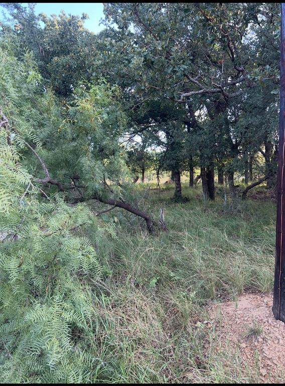 Lot 961 Lakes Drive - Photo 1