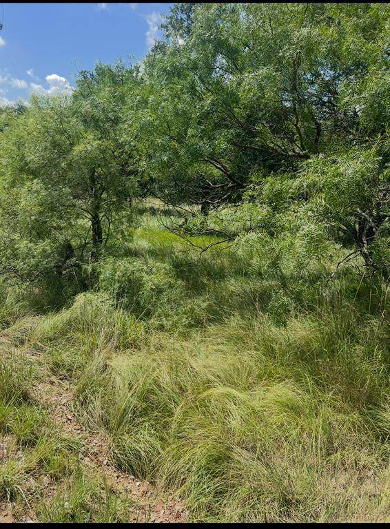 Lot 821 Oak Point Drive - Photo 1