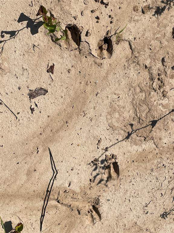 2102 Willow Point Road - Photo 1