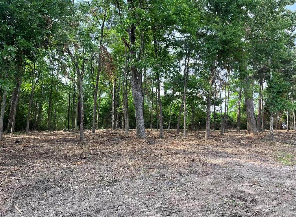 4000 Ellen Trout Drive - Photo 1