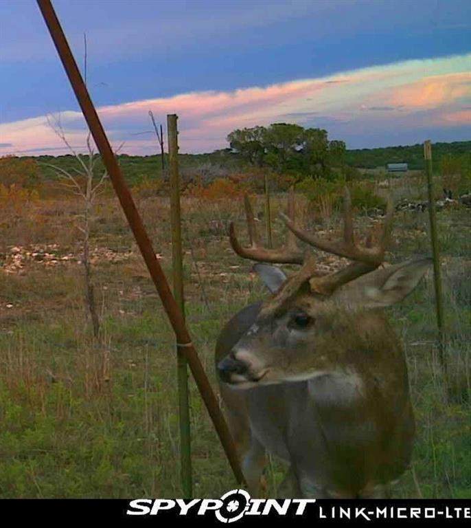 3402 County Road 196 - Photo 1