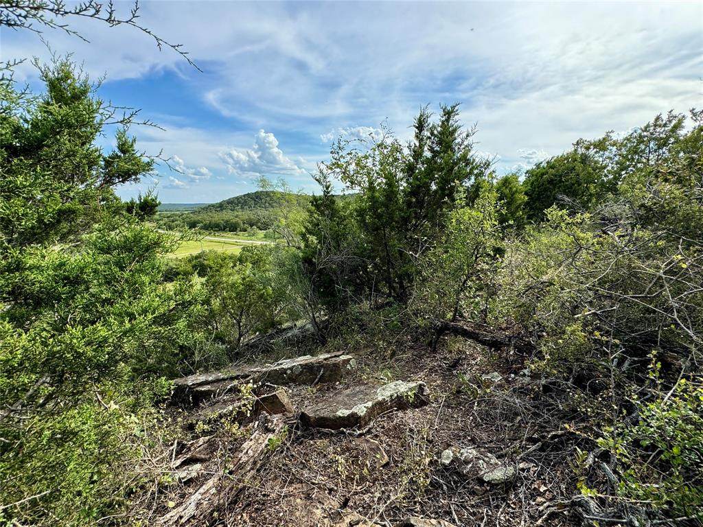 TBD Finis Road - Photo 1