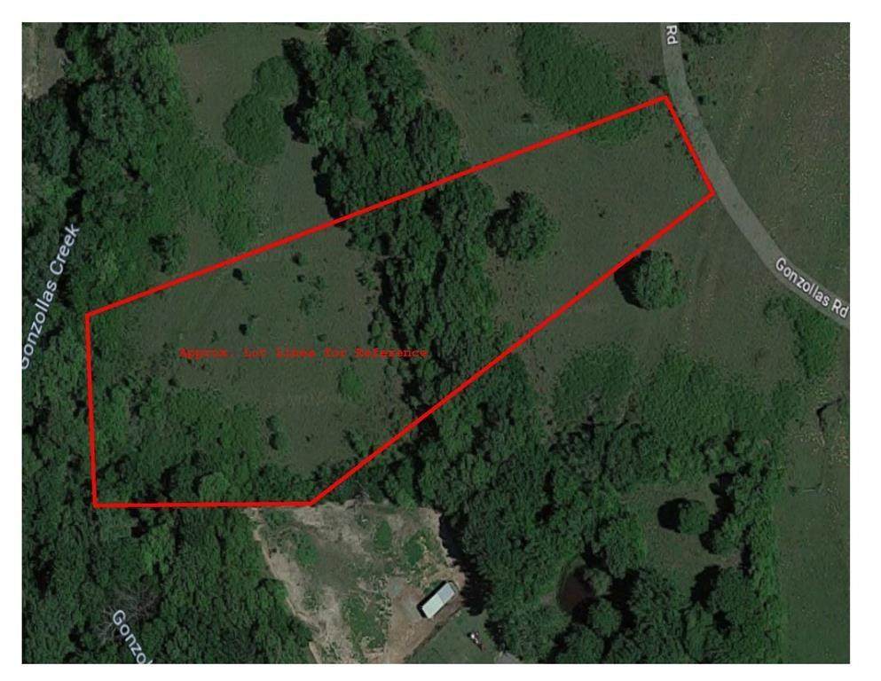 1037 Gonzollas Road - Photo 1