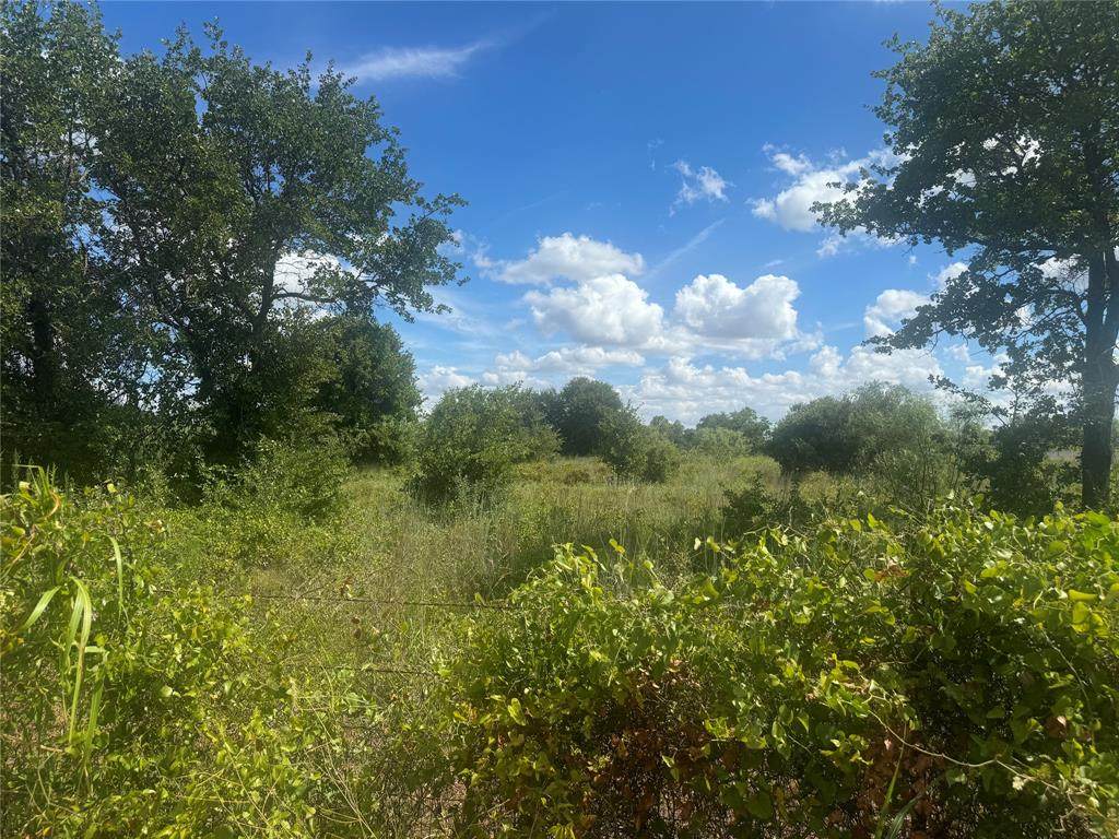 N. Access Road, I-20 - Photo 1