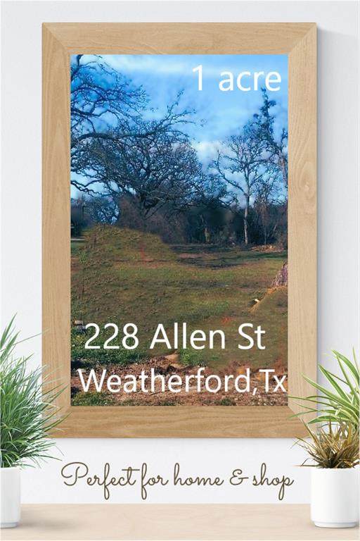 228 Allen Street - Photo 1