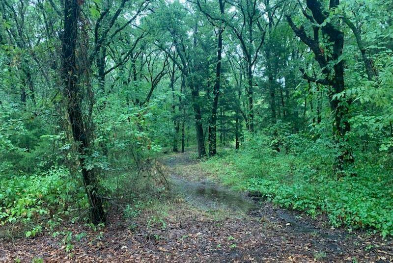 9744 Shady Lane - Photo 1