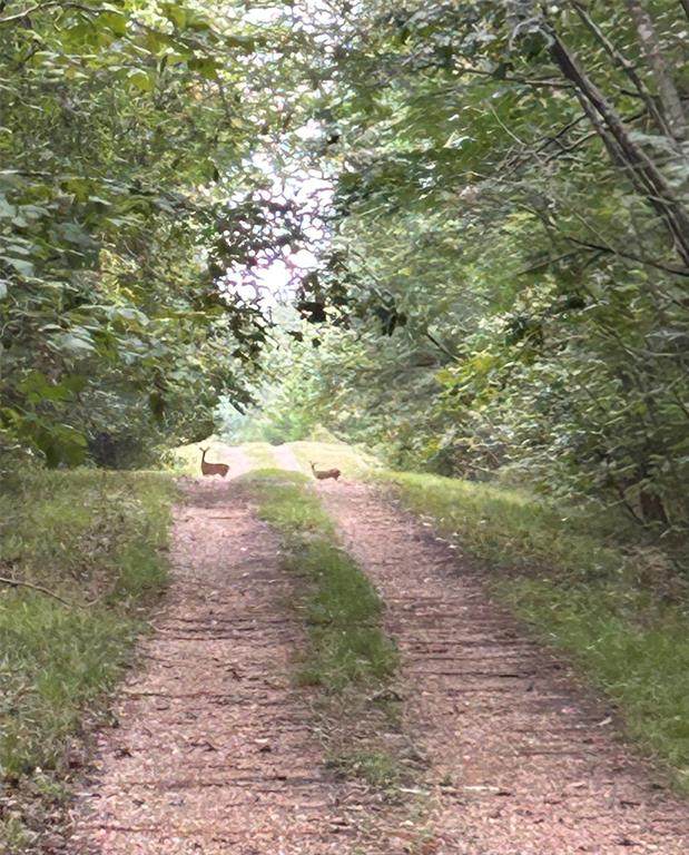 TBD Pr 5042 - Photo 1