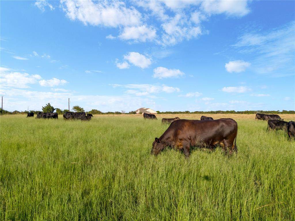 5.83 ac. TBD Hodge Road - Photo 1