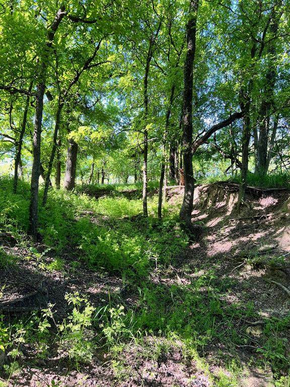 TBD Hwy 590 - Photo 1