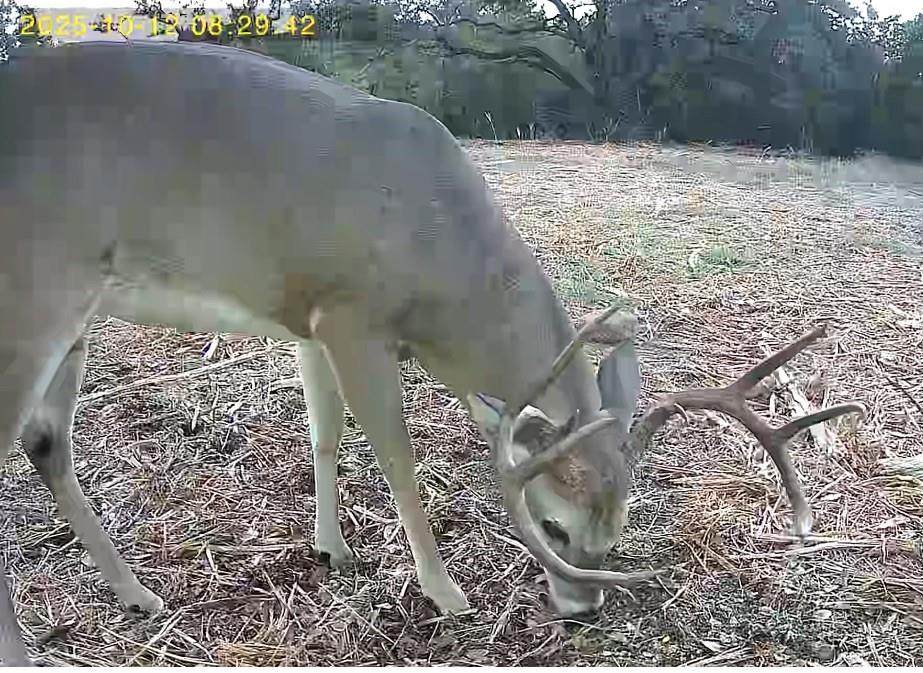 TBD Fm 708B - Photo 1