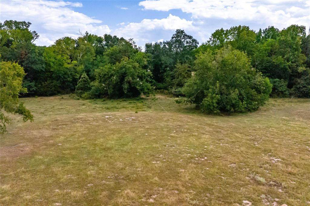87 Acres Fm 269 - Photo 1