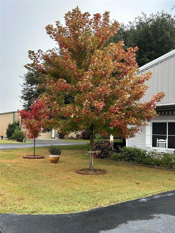 14763 County Road 424 - Photo 1