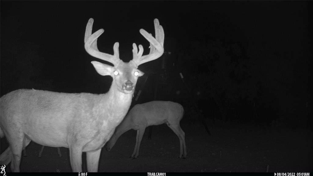 1078 County Road 498 - Photo 1