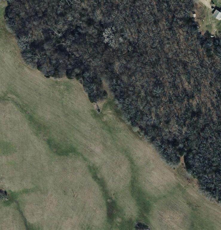 TBD LOT 1 County Road 2005 - Photo 1