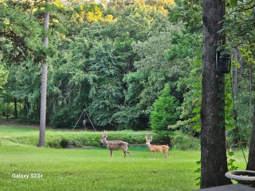 4491 Fm 2869 - Photo 1
