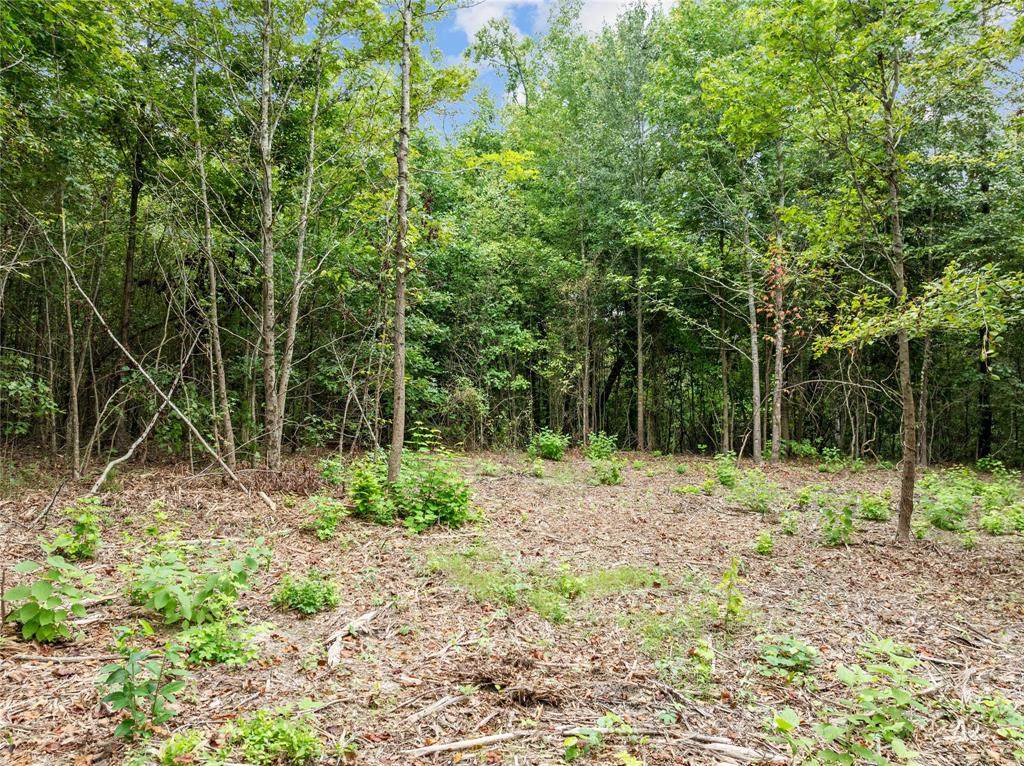 00 Mistletoe Road - Photo 1