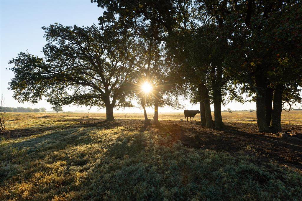 TBD Brushy Road - Photo 1