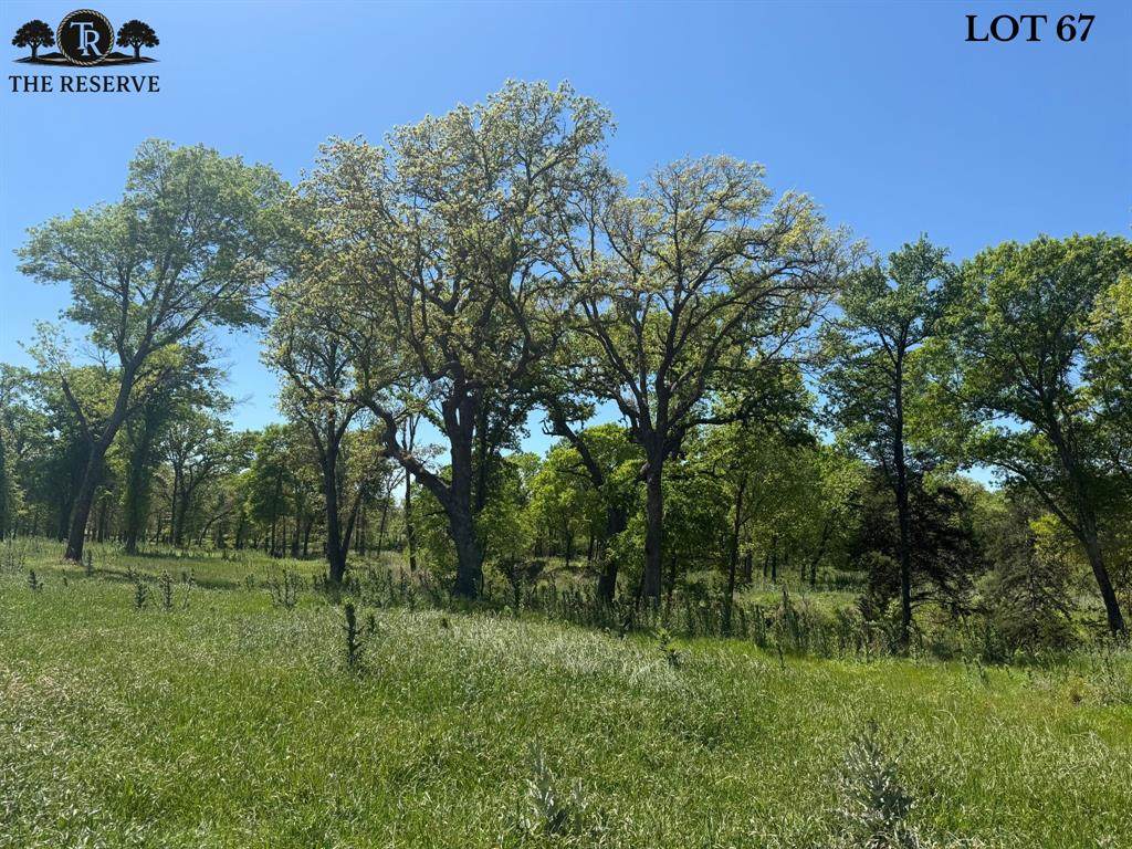 Lot 67 Camden Lane - Photo 1