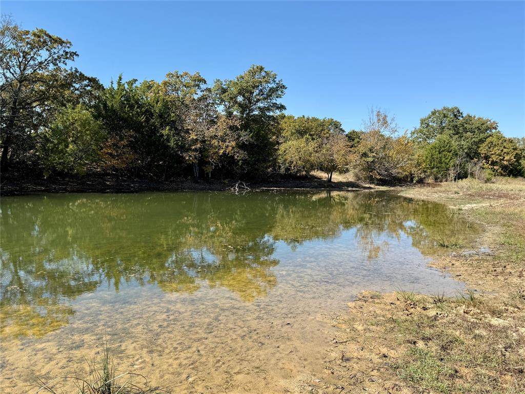2753 Big Tree Road - Photo 1