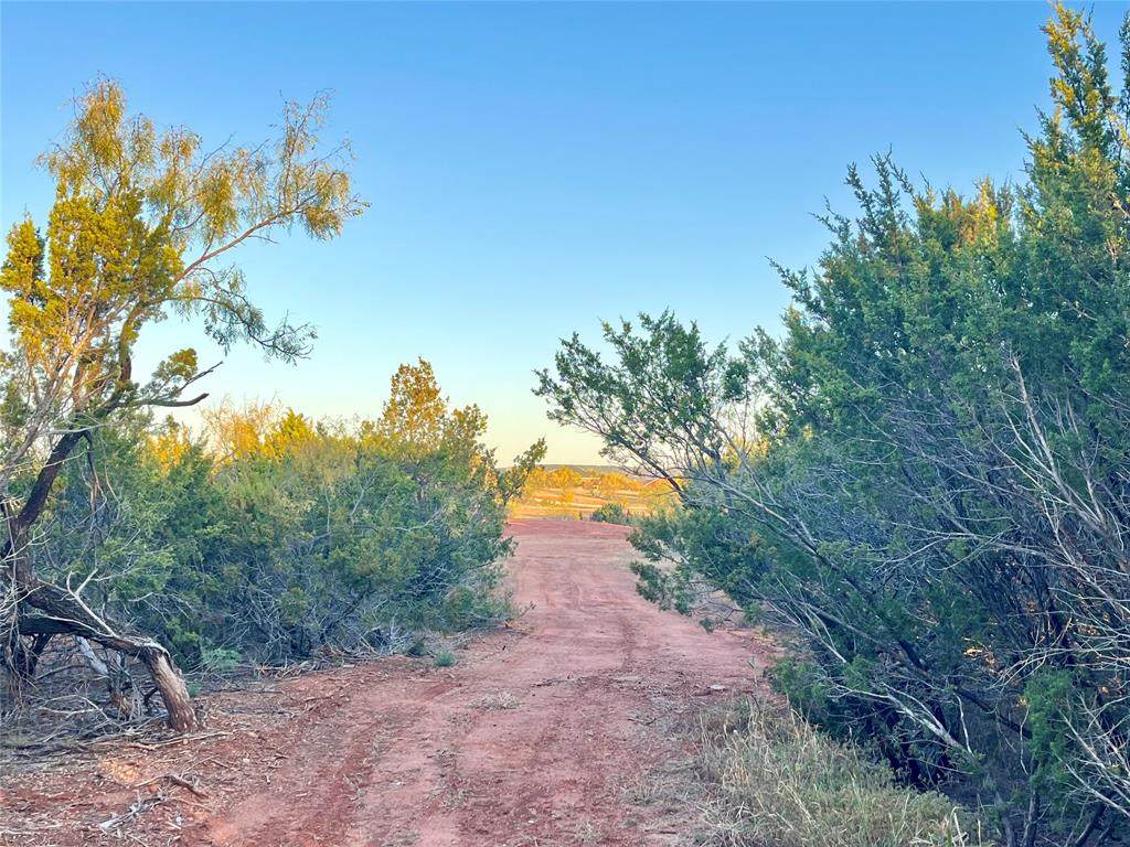 482 County Road 151 - Photo 1