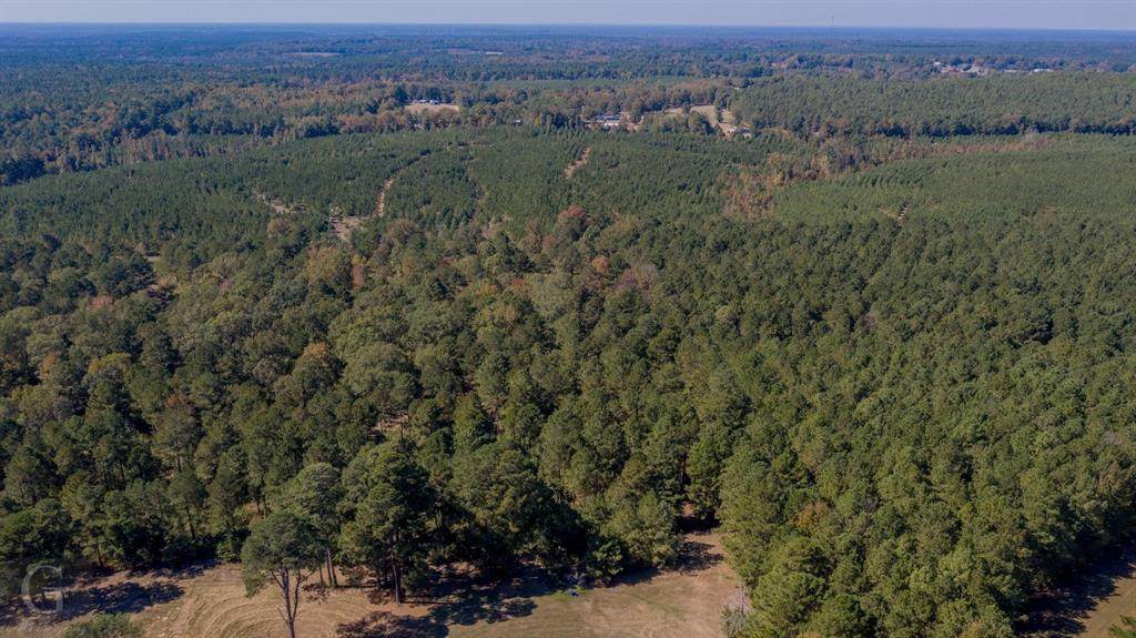 0 Hwy 159 Highway - Photo 1