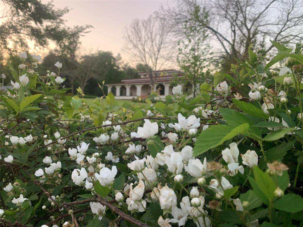 8414 County Road 3907 - Photo 1