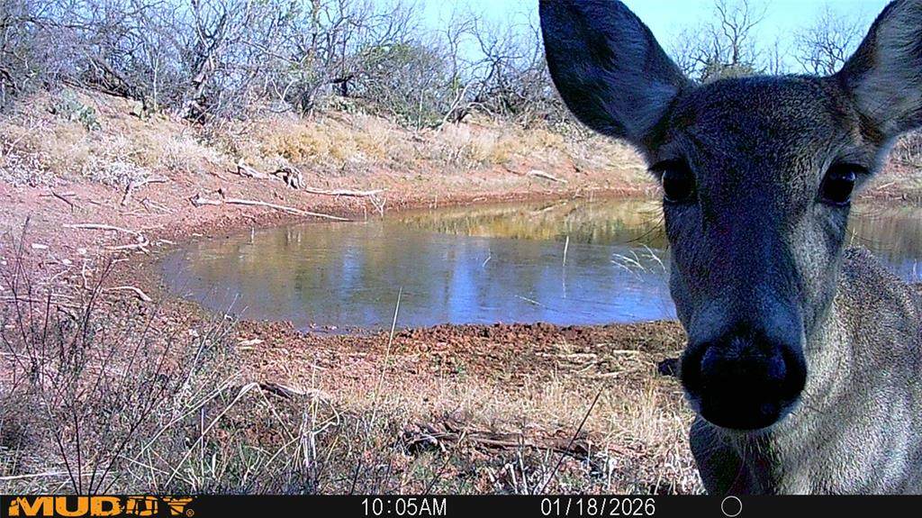 TBD 42 County Road 318 - Photo 1