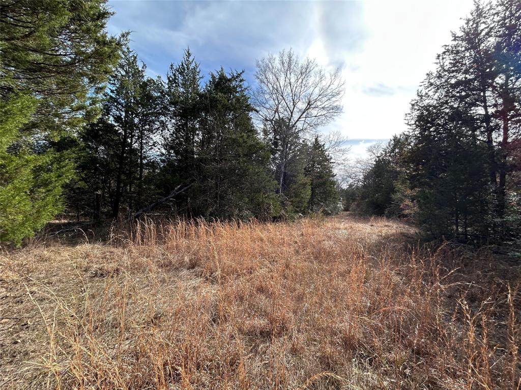 TBD Fcr 540 - Photo 1