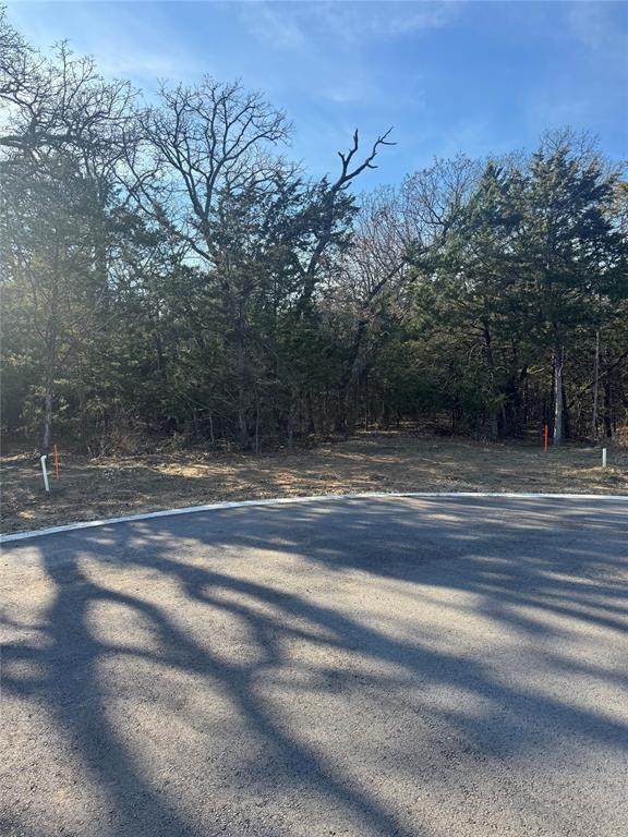 137 Moon Palace Court - Photo 1