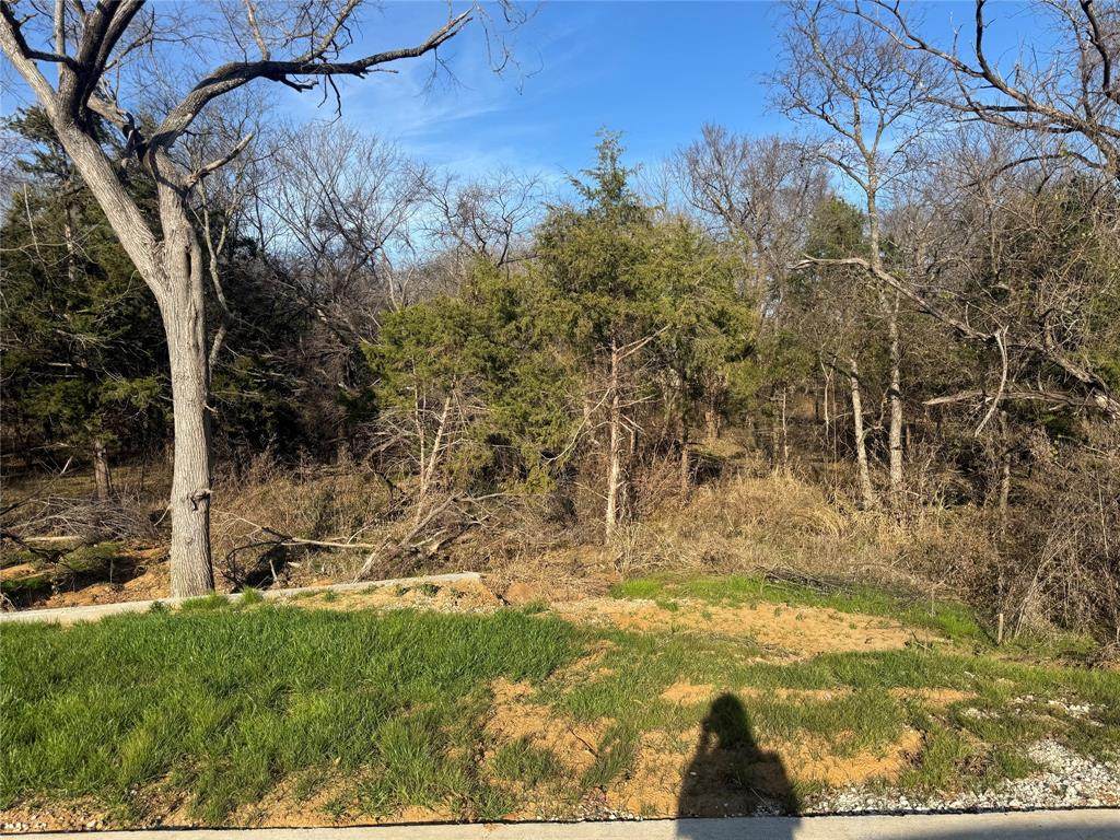 Lot 96 Castlewood Street - Photo 1