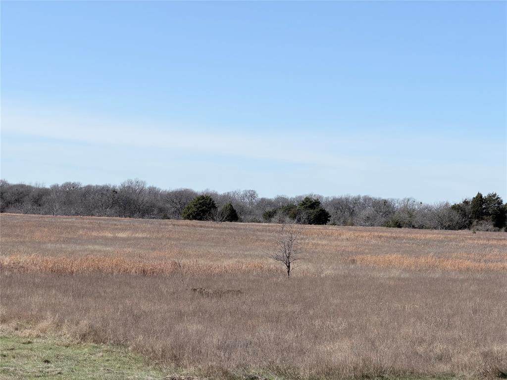 TBD County Road 2140 - Photo 1