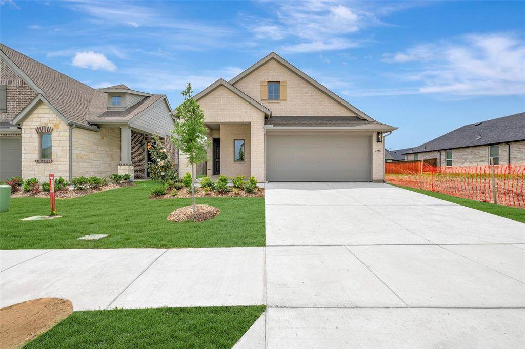 4228 Elk Hair Drive - Photo 1