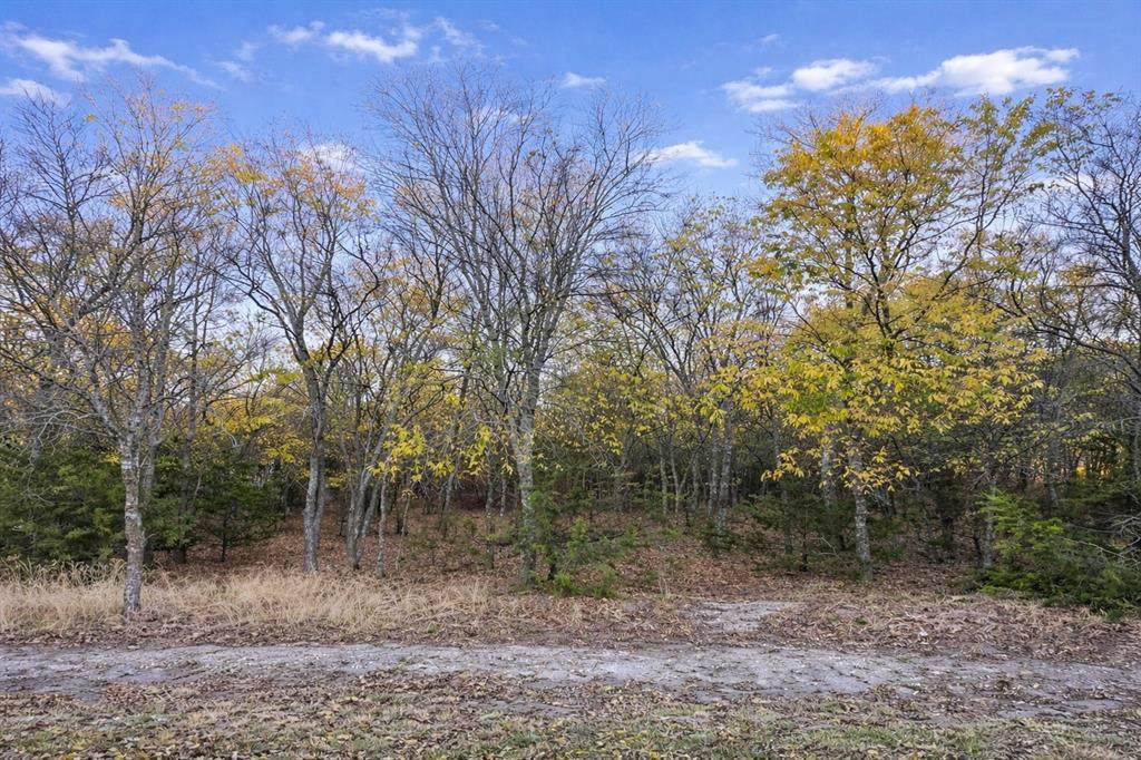 8064 Lax Drive - Photo 1