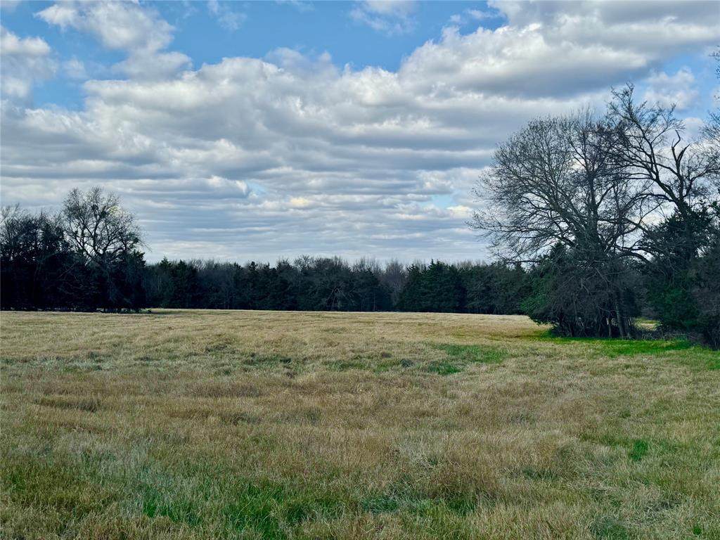29 Acres County Road 2400 - Photo 1
