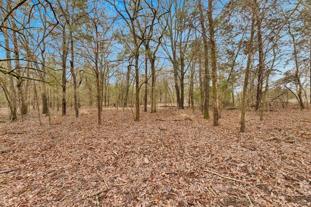 TBD Co Rd 343 - Photo 1