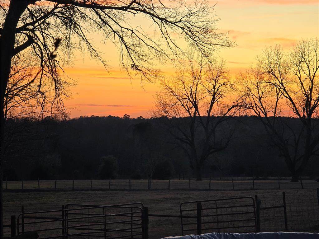 20086 County Road 299 - Photo 1